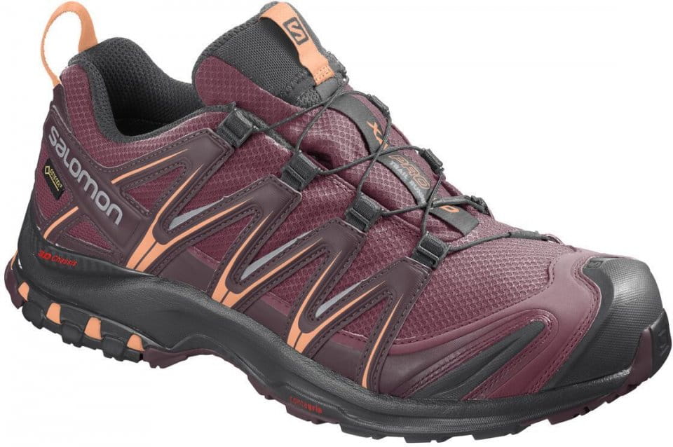 Trail schoenen Salomon XA PRO 3D GTX W